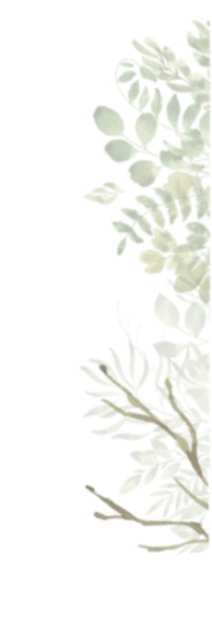 grass plants